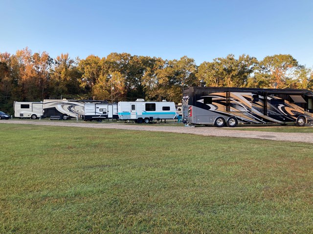 Line of motorhomes parked at RV sites with trees and green grass.