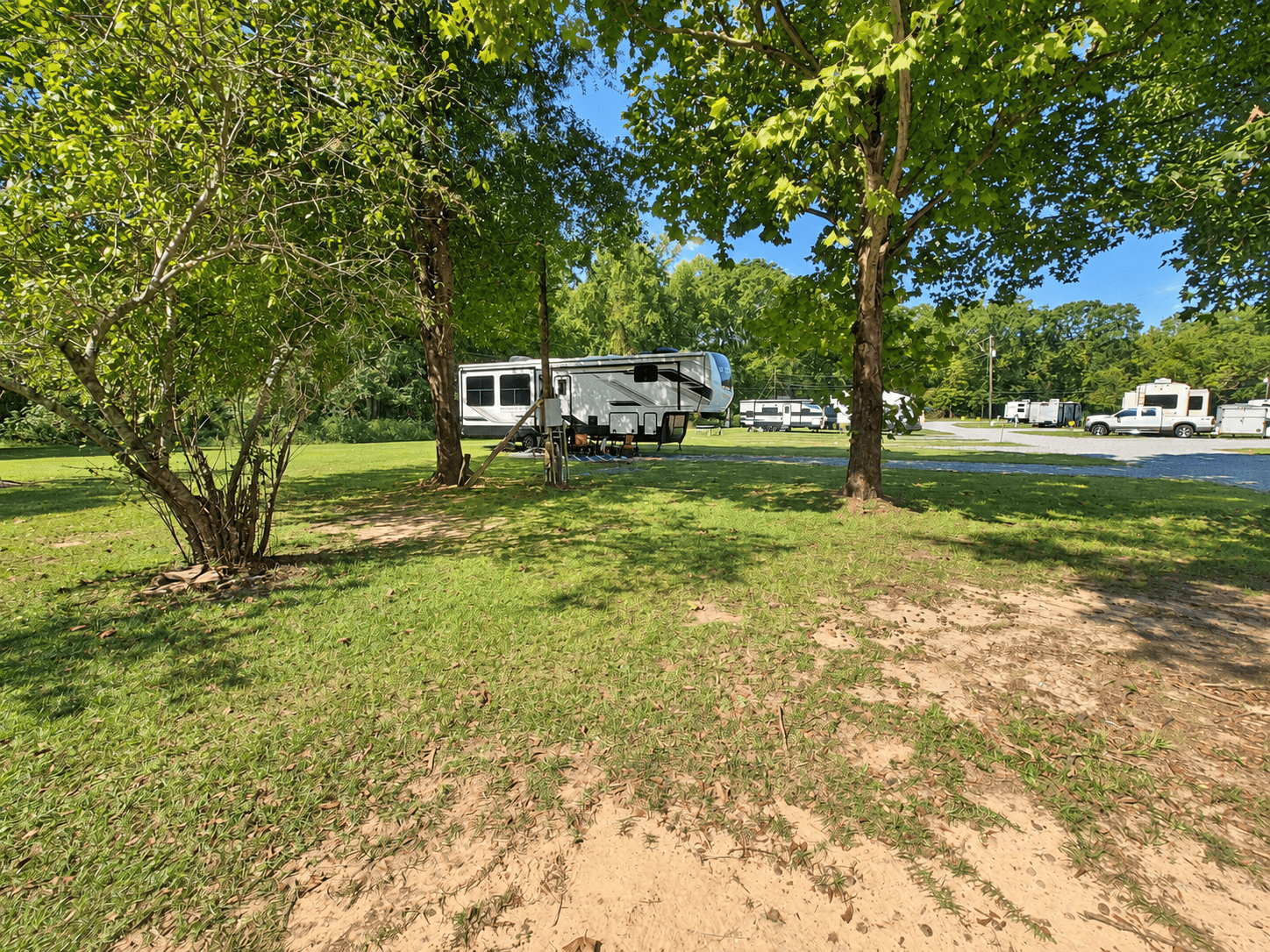 Shaded RV sites under mature trees at Montgomery Station
